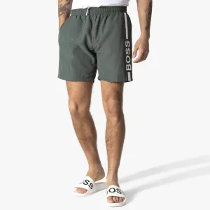 Dolphin Swim Recycled Fabric Shorts