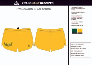 Flyers-- Mens Split Track Short