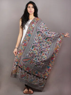 Multi Colour Kani Weaved Border Pure Wool Cashmere Stole from Kashmir - S6317117